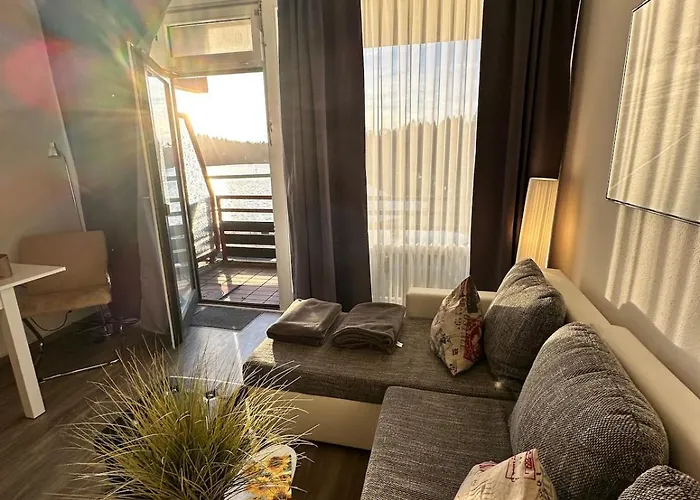 公寓 Modern Seeblick Balkon 2 Min Zur Gondel 戈斯拉尔