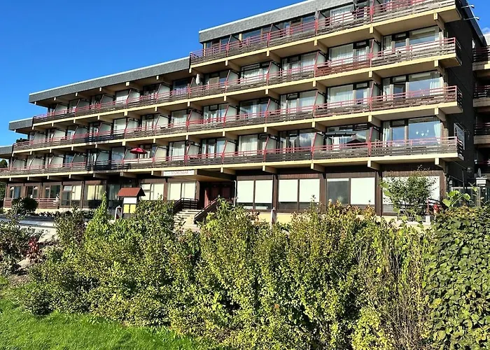 公寓 Modern Seeblick Balkon 2 Min Zur Gondel 戈斯拉尔